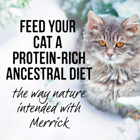 Merrick Backcountry Grain Free Gluten Free Premium High Protein Wet Cat Food, Duck Recipe Cuts With Gravy