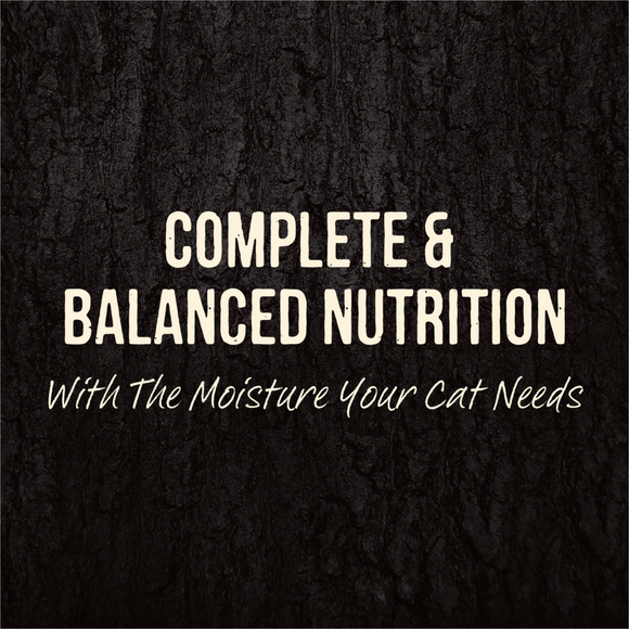 Merrick Backcountry Grain Free Gluten Free Premium High Protein Wet Cat Food, Duck Recipe Cuts With Gravy