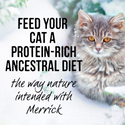 Merrick Backcountry Grain Free Gluten Free Premium High Protein Wet Cat Food, Whitefish Recipe Cuts With Gravy