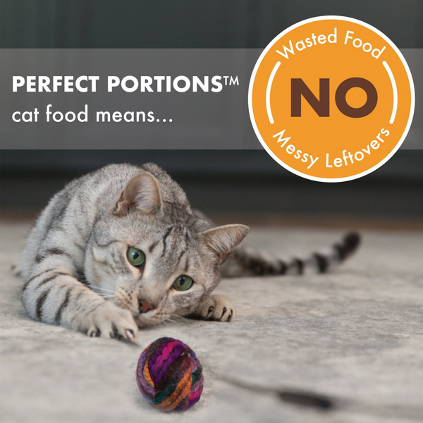 Nutro Perfect Portions Grain-Free Chicken Recipe Cat Food Trays