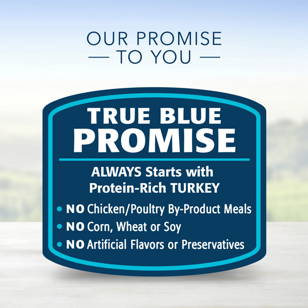 Blue Buffalo Blue Delights for Small Breed Dogs Roasted Turkey Flavor Pate Wet Food