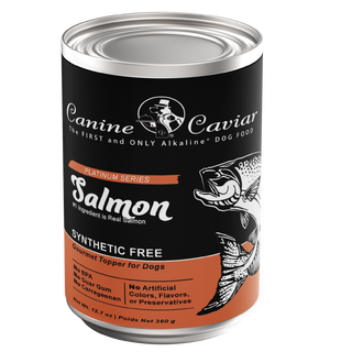 Canine Caviar Grain Free Synthetic Free Salmon Recipe Canned Dog Food