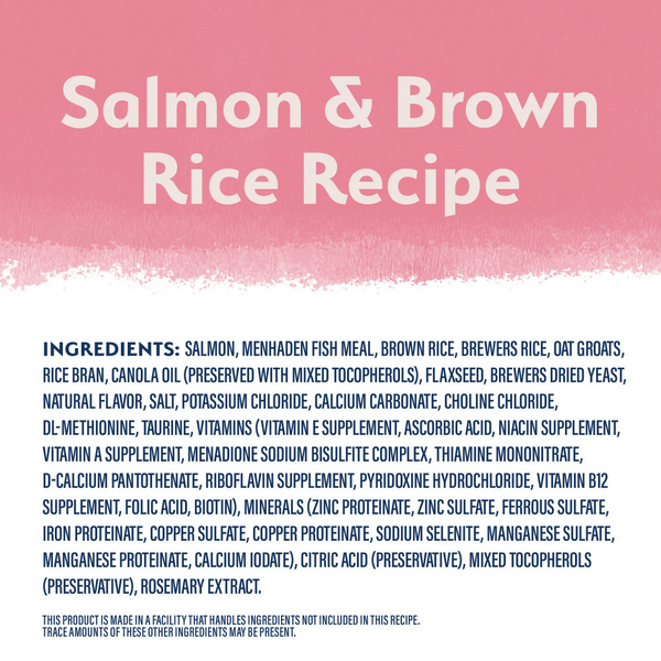 Natural Balance Limited Ingredient Salmon & Brown Rice Recipe Dry Dog Food