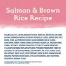 Natural Balance Limited Ingredient Salmon & Brown Rice Recipe Dry Dog Food
