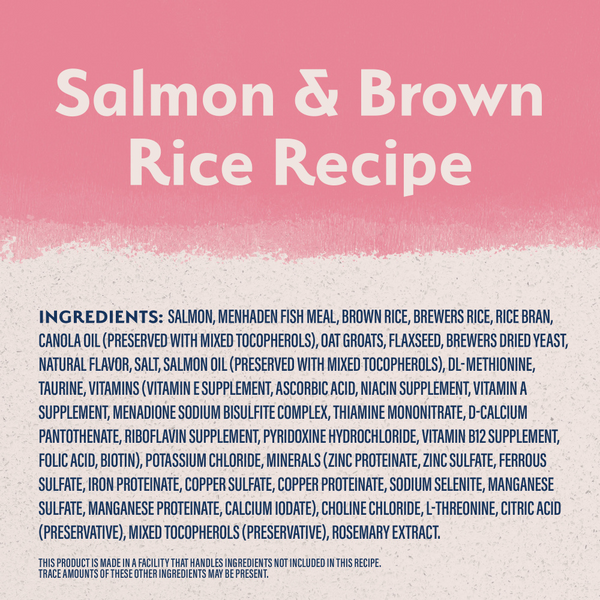 Natural Balance Limited Ingredient Salmon & Brown Rice Puppy Recipe Dry Dog Food