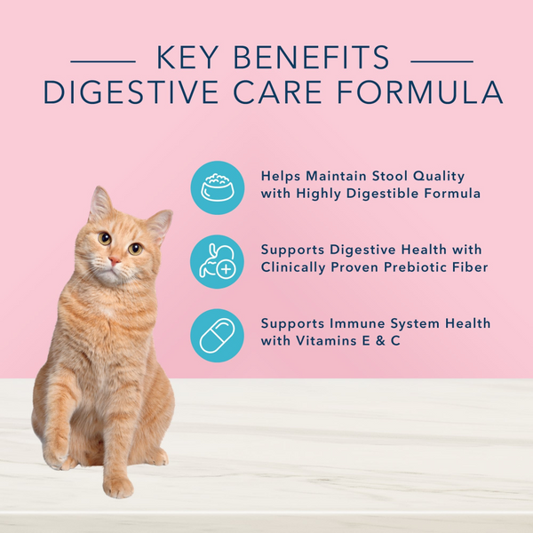 Blue Buffalo True Solutions Blissful Belly Digestive Care Formula Adult Dry Cat Food