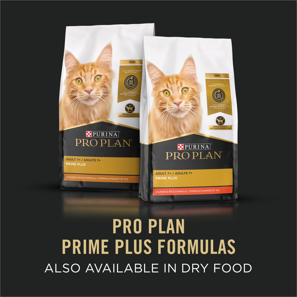 Purina Pro Plan Grain-Free Senior Pate Prime Plus Seafood Favorites Wet Cat Food Variety Pack