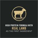 Purina Pro Plan High Protein Sensitive Skin & Stomach Lamb & Rice Formula Dry Cat Food