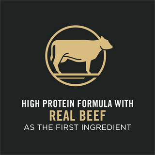 Purina Pro Plan Specialized Shredded Blend Beef & Rice Formula High Protein Small Breed Dry Dog Food