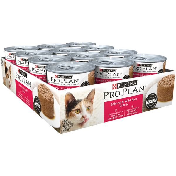 Purina Pro Plan Pate Salmon & Wild Rice Entree Wet Cat Food