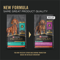 Purina Pro Plan Sensitive Stomach Sensitive Skin & Stomach Salmon & Rice Formula Dry Puppy Food