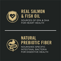 Purina Pro Plan Sensitive Stomach Sensitive Skin & Stomach Salmon & Rice Formula Dry Puppy Food