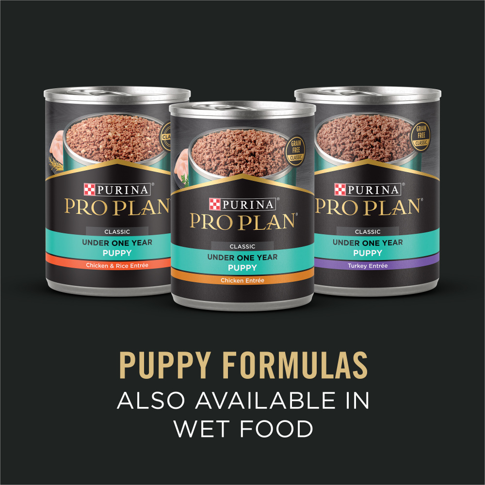 Purina Pro Plan Sensitive Stomach Sensitive Skin & Stomach Salmon & Rice Formula Dry Puppy Food