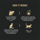 Purina Pro Plan Prime Plus Chicken & Rice Formula Senior Dry Cat Food