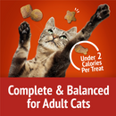 Friskies Party Mix Crunch Gravylicious Chicken & Gravy Flavors Cat Treats