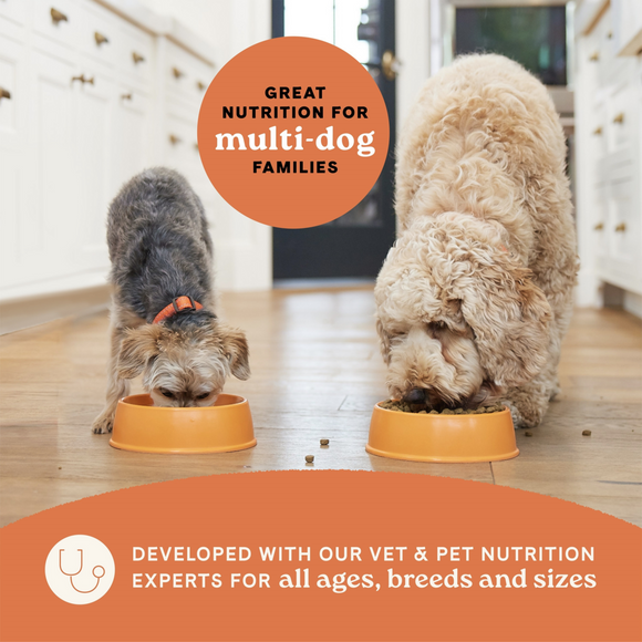 Canidae All Life Stages Real Salmon & Ancient Grains Dog Food