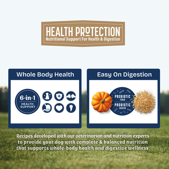 Natural Balance Health Protection Dry Dog Food, Chicken, Brown Rice & Pumpkin Recipe