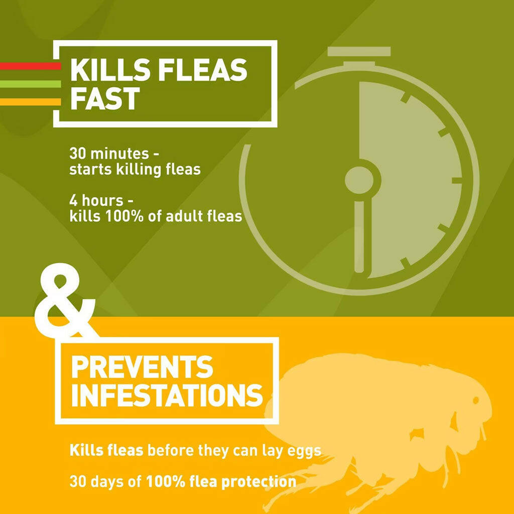 Trifexis for Dogs 10.1-20 lbs start killing in 30mn