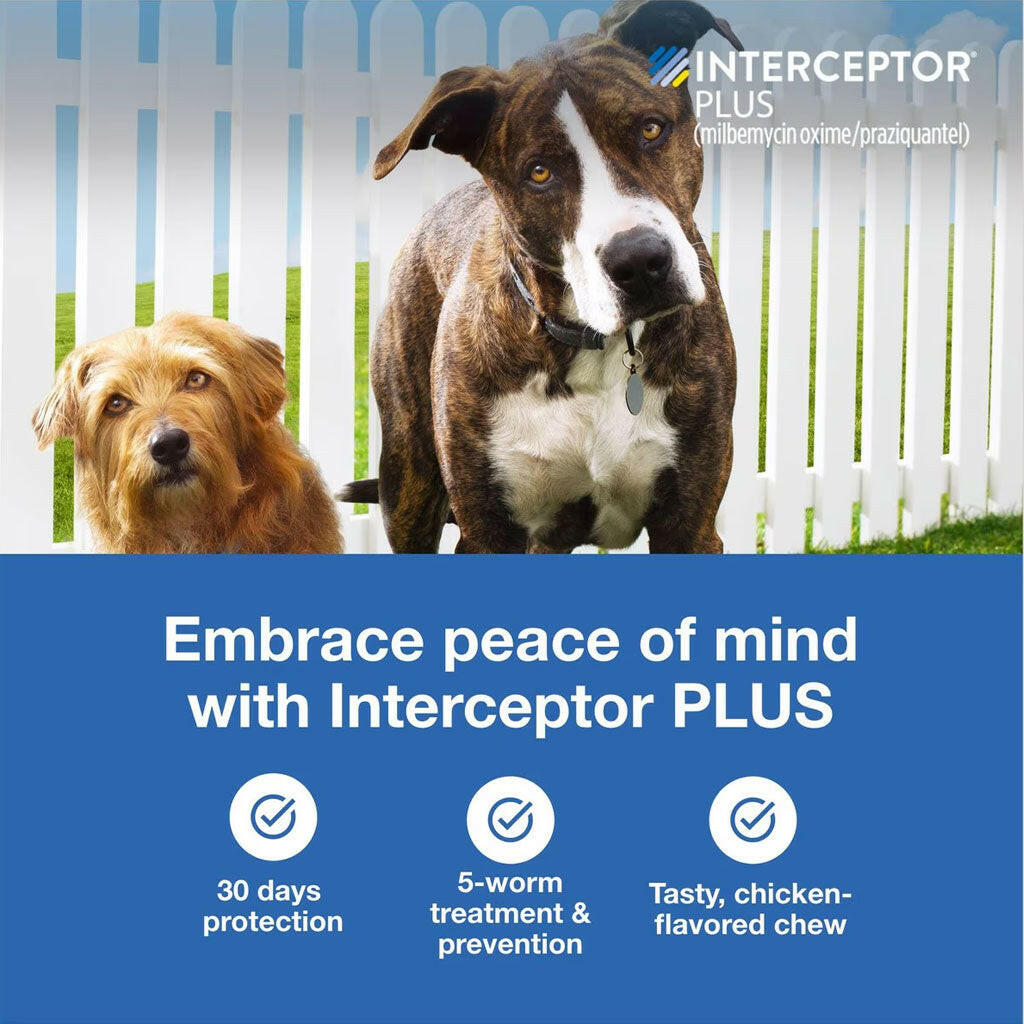 Interceptor Plus Chew for Dogs 2-8 lbs features