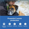 Interceptor Plus Chew for Dogs 50.1-100 lbs 5 worm protection