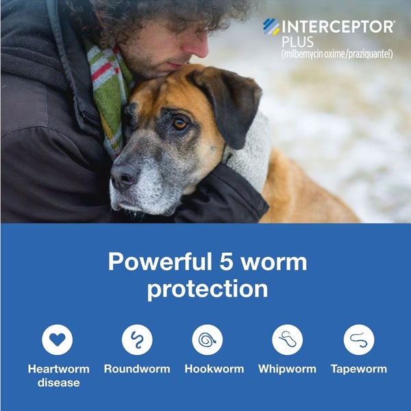Interceptor Plus Chew for Dogs 8.1-25 lbs 5 diff worm