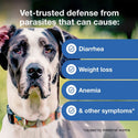 Interceptor Plus Chew for Dogs 8.1-25 lbs benefits