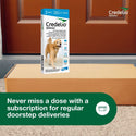Credelio for Dogs 50.1-100 lbs autoship