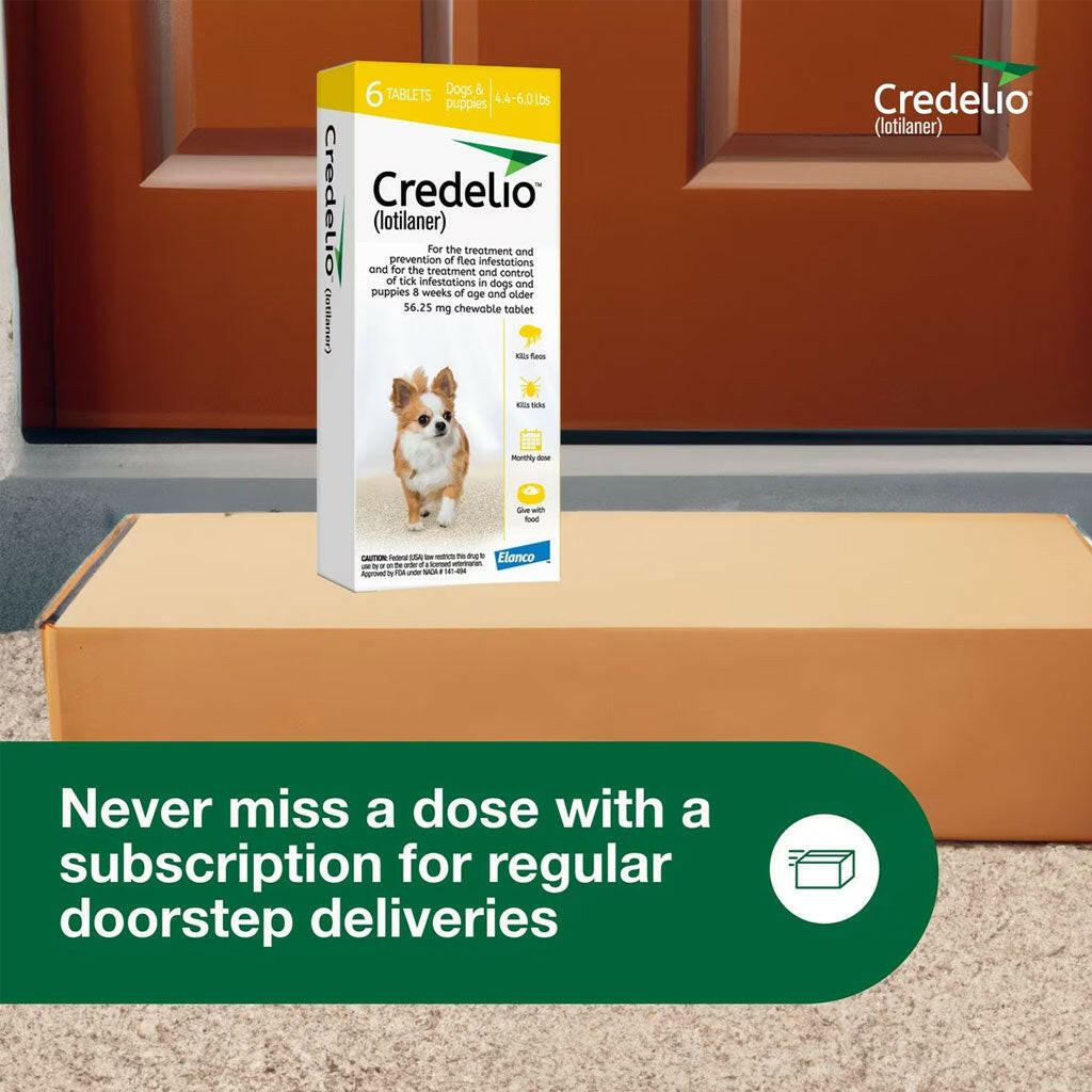 Credelio for Dogs 4.4-6 lbs autoship