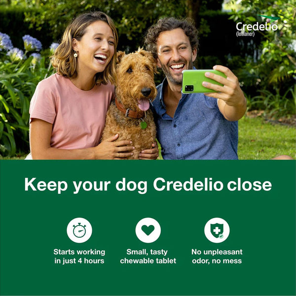 Credelio for Dogs 12.1-25 lbs features