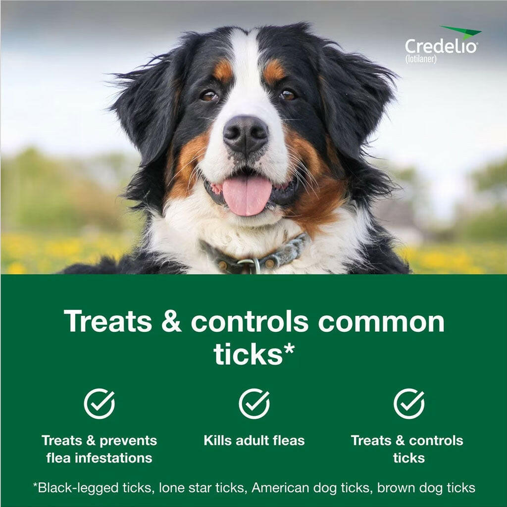 Credelio for Dogs 4.4-6 lbs benefits