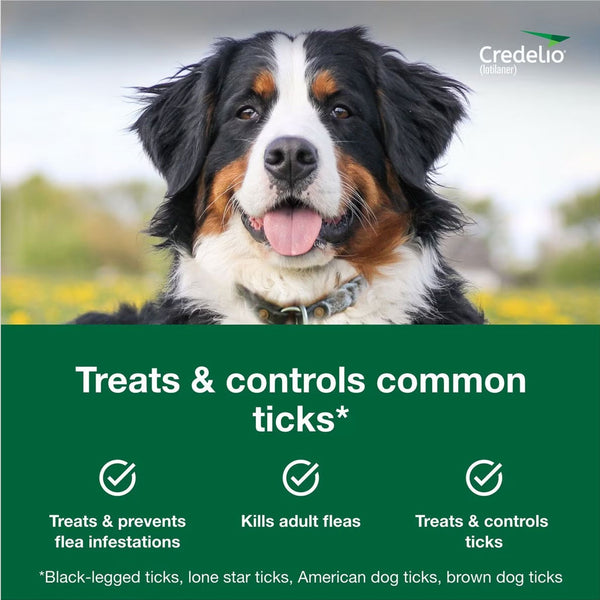 Credelio for Dogs 25.1-50 lbs benefits