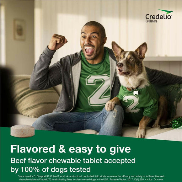 Credelio for Dogs 12.1-25 lbs beef flavor