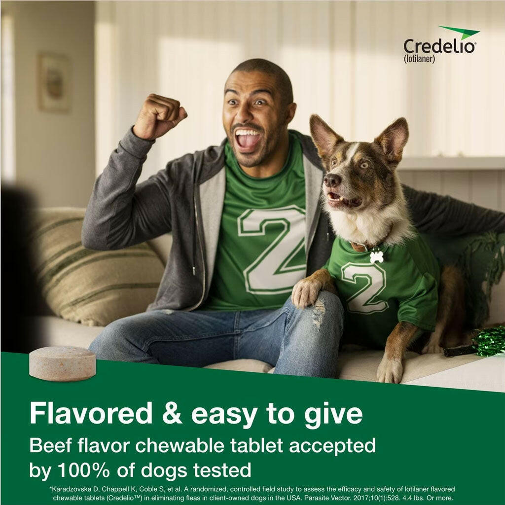 Credelio for Dogs 25.1-50 lbs beef flavor