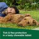 Credelio for Dogs 50.1-100 lbs 1 tablet