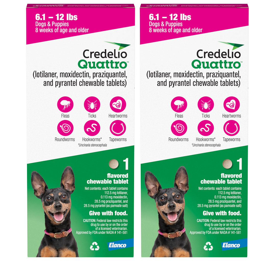 Credelio Quattro Flavored Chewable Tablets for Dogs, 6.1 to 12 Pounds, 2 tablets