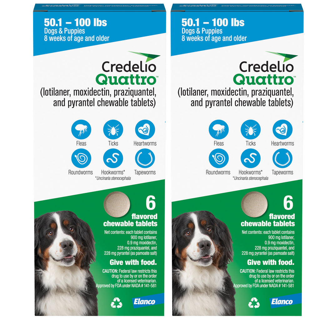 Credelio Quattro Flavored Chewable Tablets for Dogs 50.1 to 100 lbs, 12 tablets