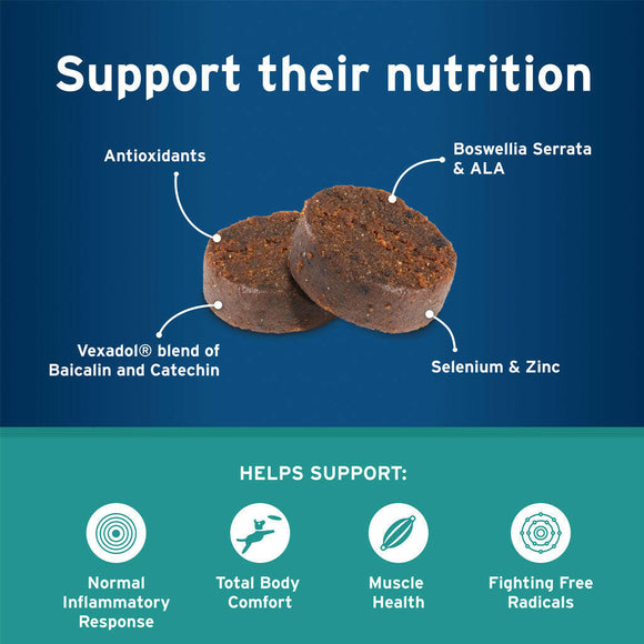 Pet Protect Body Comfort Plus Alenza for Dogs efatures