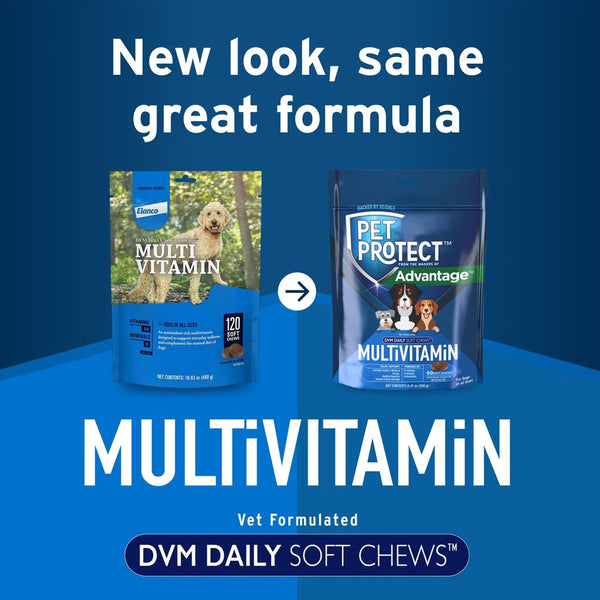 Pet Protect Multivitamin DVM Daily Soft Chews for Dogs new look 