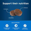 Pet Protect Multivitamin DVM Daily Soft Chews for Dogs features