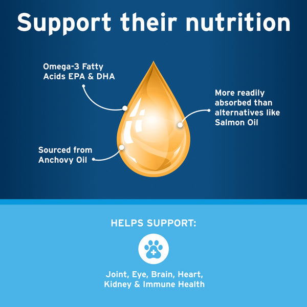 Pet Protect Omega-3 Free Form for Small Dogs & Cats benefits