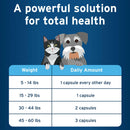 Pet Protect Omega-3 Snip Tips for Small Dog & Cat feeding guidelinePet Protect Omega-3 Snip Tips for Medium & Large Dogs feeding guidelines