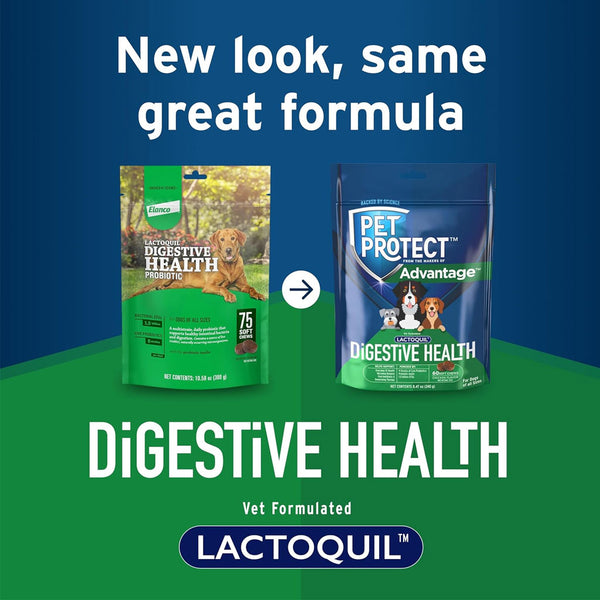 Pet Protect Digestive Health Lactoquil for Dogs new look