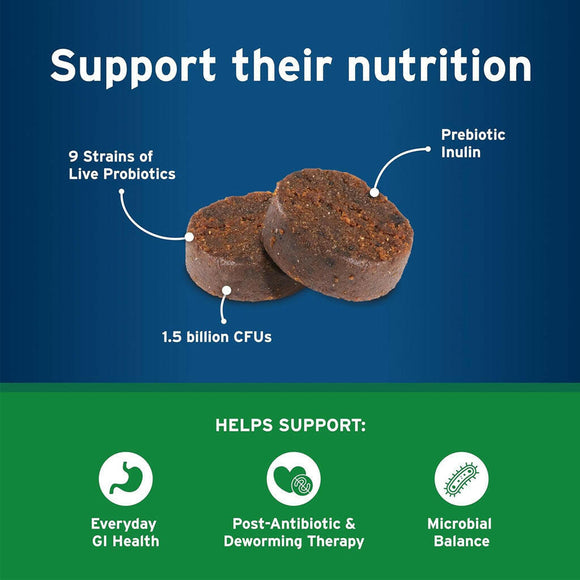 Pet Protect Digestive Health Lactoquil for Dogs soft  chews