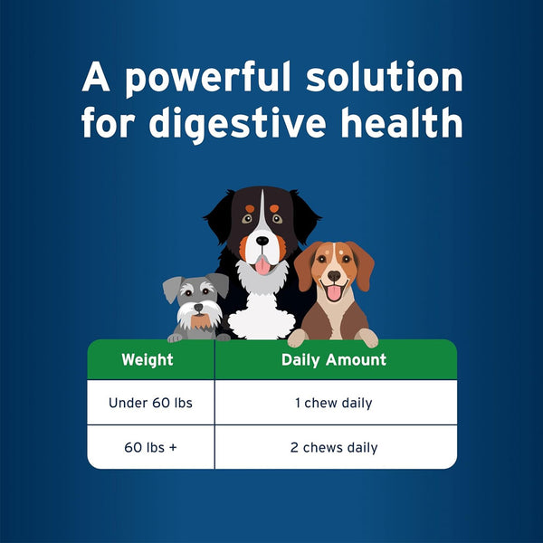 Pet Protect Digestive Health Lactoquil for Dogs Feeding guidelines