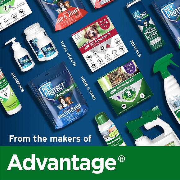 Pet Protect Digestive Health Lactoquil for Dogs from makers of advantage