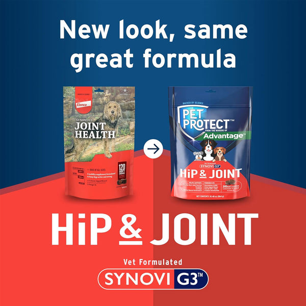Pet Protect Hip & Joint Synovi G3 for Dogs new look