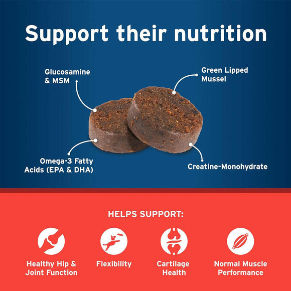 Pet Protect Hip & Joint Synovi G3 for Dogs soft chews