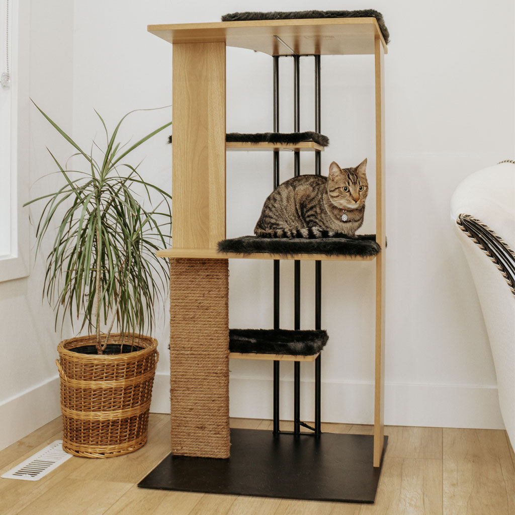 4 Cats & Dogs Cali Cat Tree