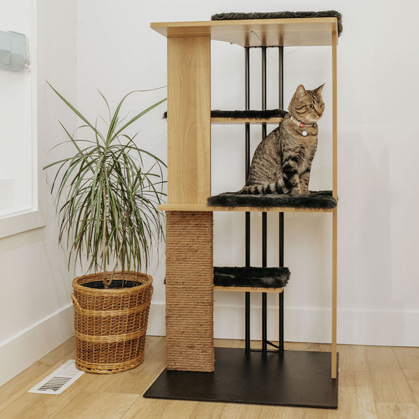 4 Cats & Dogs Cali Cat Tree