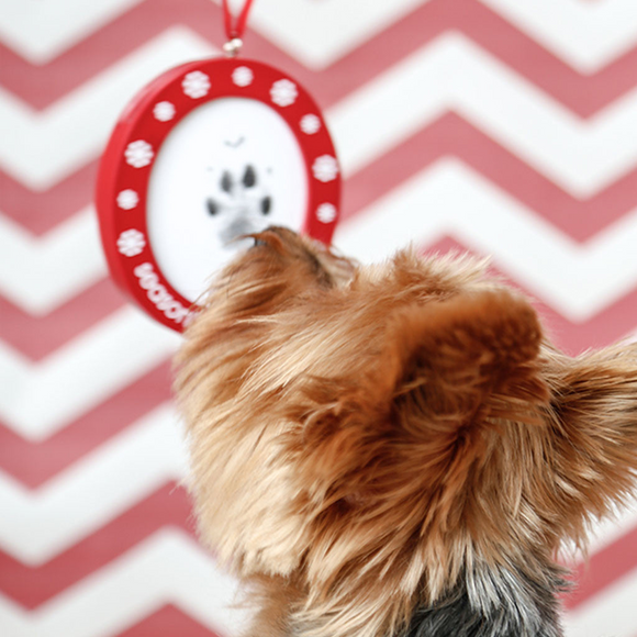 Pearhead Pawprints Double Sided Photo Ornament, Holiday Keepsake for Pets & Owners